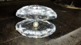 Beautiful glass oyster with pearl