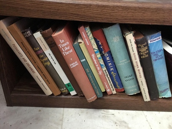Shelf lot of books. Hardbacks. In German. Some vintage