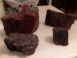 4 Decent Specimens of what appears to be petrified wood