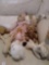 Vintage stuffed animals Total of 7 one says Madame Alexander