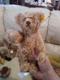 Steiff bear stuffed animal