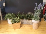 Charming Potted Artificial Farmhouse Style Plants