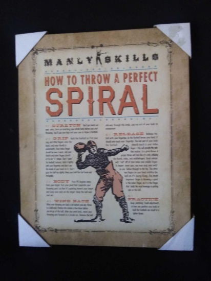 20"x 16" Stretched Canvas MANLY SKILLS Wall Art, "how to throw a perfect spiral"