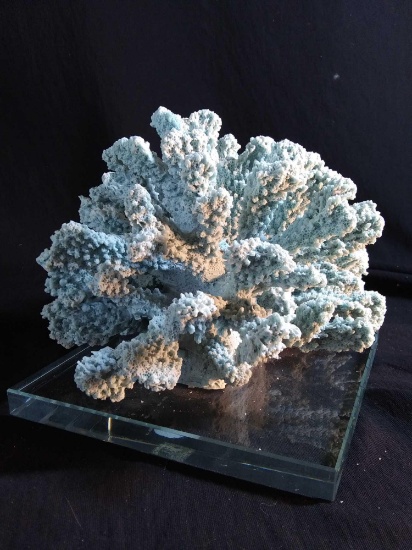 Pretty Tiffany Blue Coral Decor on Heavy Glass Base