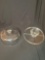 Two Pieces of Strong Glass Display Dishes