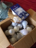 Box of Bulbs