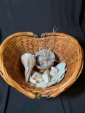 Basket of Various Shells and Decoration