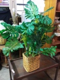 Nice Artificial bamboo tree in Wicker planter