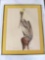 ORIGINAL SIGNED and framed Brown Pelican Print by Richard Capes