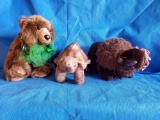Wild Animals! very Clean, nice quality Stuffed animals - bear, Turtle, and Buffalo