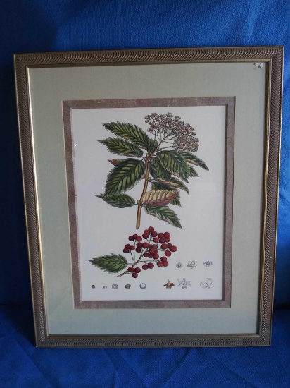 VERY NICE 23 x 28 hand-colored flowering berry tree, owp