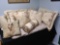 Bedding Set: 4 pillows with Shams, 3 Throw Pillow, and Spread