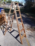 Tall Vintage Painter's Ladder