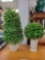 2 Heavy pottery potted decor topiaries