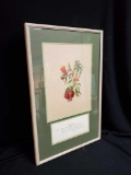 Vibtage Botanical print Framed under glass, with Shakespeare quote