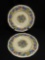 Pair of Crown Ducal Florentine Fruits And Flowers Dinner Plates. Made In England
