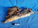 (2) vintage animal pelts