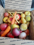 Box of Wax and Plastic Fruit decor for display