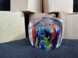 (5) NEW in boxes SDS Seapoot GLASS paper weights - Fish Blocks