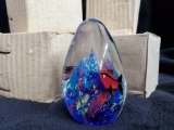 (5) NEW in boxes SDS Seapoot GLASS paper weights - Fish