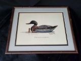 vintage The Mason Co. MALLARD DRAKE decoy Signed/numbered Print, Robert W. Hilty framed under glass