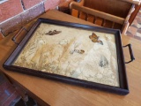 Antique Glassed wood Serving tray , butterflies