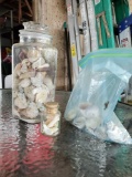 More shells in glass containers