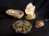 Vintage Shell grouping including Lamp, footed dish, hotpad, and beautiful Cowrie Tiger
