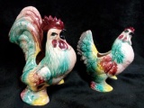 BEAUTIFUL GEM-EYED ROOSTER AND HEN, VIBRANT PLANTERS