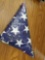USA! American flag,in zippered case
