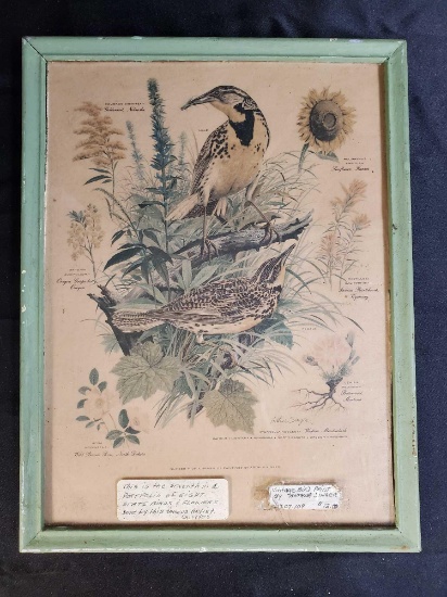 Western Meadowlark Bird Print Arthur Singer Mid-Century Number 7 in a Series Flora and Fauna Floral