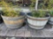 Pair of BOURBON BARREL PLANTERS with contents