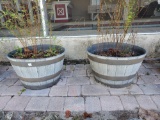 Pair of BOURBON BARREL PLANTERS with contents