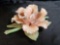 Vtg Capodimonte Iris Flower Porcelain Pink Peach Italy Hand Sculpted Flower marked 