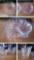 (6) Pc PRESSED GLASS ITEMS, BOWLS, SECTIONED DISHES, STARBURST