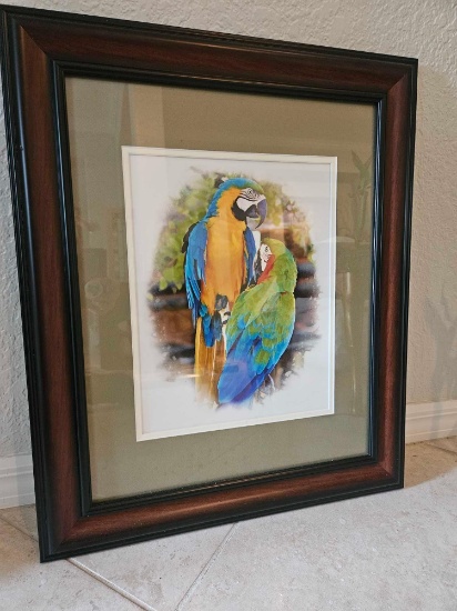 Beautiful Macaw Parrot Framed Wall Art