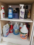 2 Shelf group of household chemicals