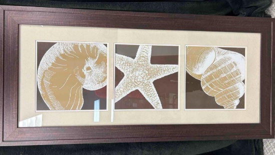 Triple Abstract Shell Art, Framed and Matted Professionally