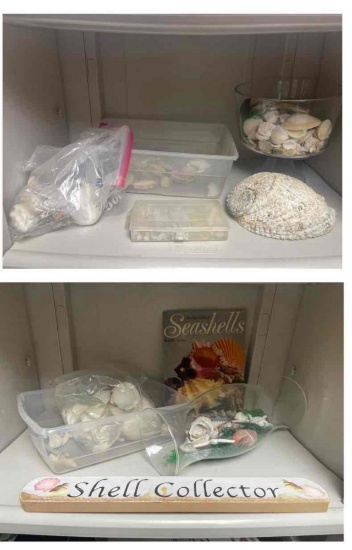 Shell Collector. It Says it All!