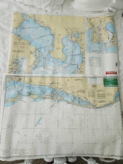 TAMPA and CLEARWATER MAPS