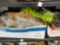 Contents of 3rd shelf including plumbing parts garden and more