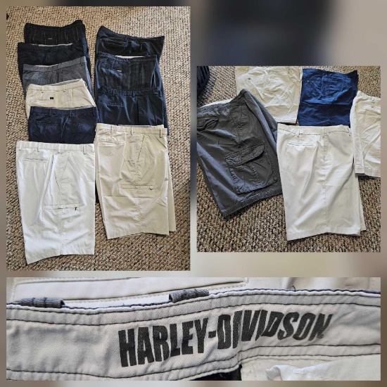 Men's Casual Apparel Shorts Grouping including Harley Davidson and Polo