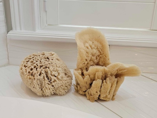 2 SEA SPONGE BATH SPONGES