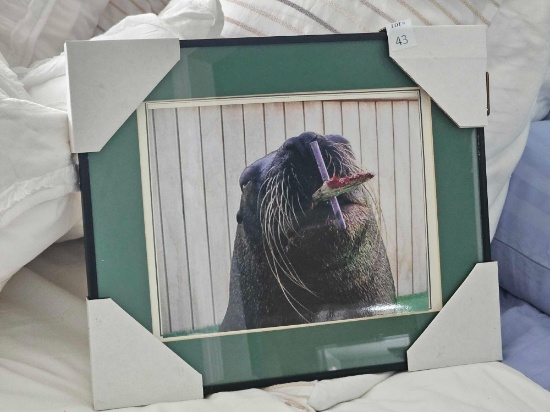 Framed and Matted Sea Lion Picture, Trained to Paint