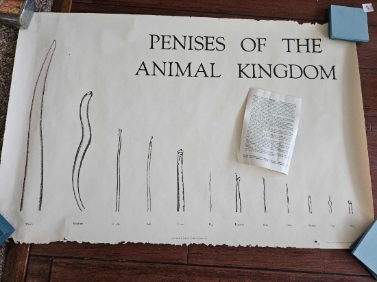 And the poster you need with those pipes
