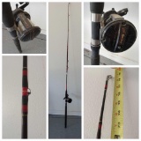 Shimano Triton speed master reel and Shakespeare Sturdy Stick Rod