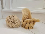 2 SEA SPONGE BATH SPONGES