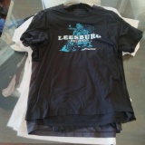 A Few Pieces of Ladies' and Men's Shirts