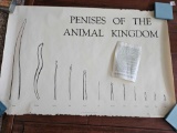 And the poster you need with those pipes