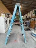 6 ft WERNER fiberglass ladder
